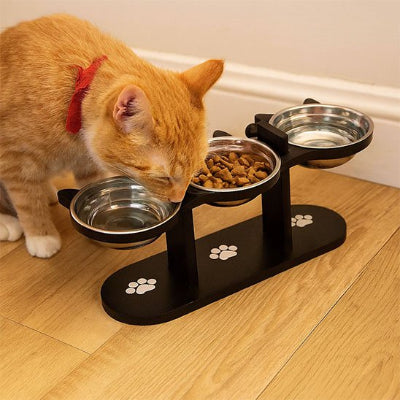 Gamelle chat surélevée 3 bols avec chat roux