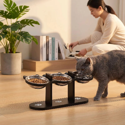 Gamelle chat surélevée Chat gris mangeant au sol