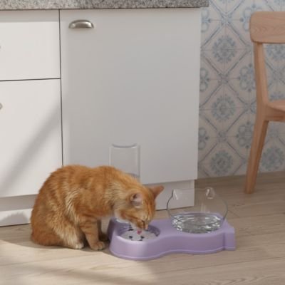 Gamelle chat violette posée sur le sol de la cuisine