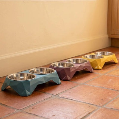 Gamelle pour Chat disponible en plusieurs coloris