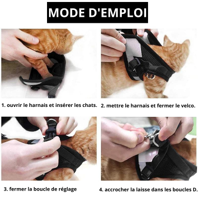 harnais pour chat | Chattycat™