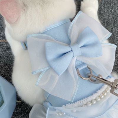 Harnais chat bleu clair avec un grand noeud
