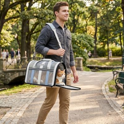 Homme marchant parc avec chat dans sac de transport chat bleu.

