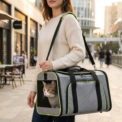 Personne marchant en ville avec un sac de transport.
