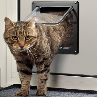 Plan rapproché d'un chat tigré utilisant une chatière moderne.