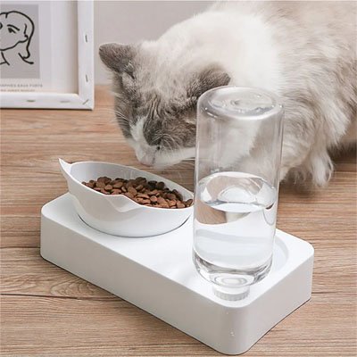 Réservoir d'eau par gravité pour gamelle chat double