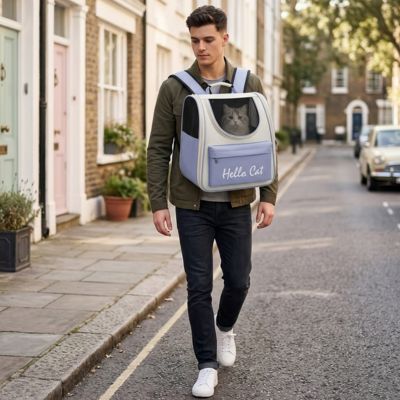Sac à dos chat bleu sur un homme marchant en rue.
