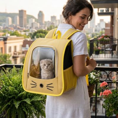 Sac à dos chat jaune avec hublot porté par une femme sur un balcon à Montréal
