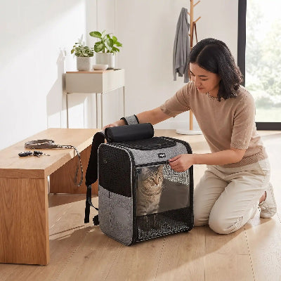 Sac à dos de transport pour chat ajusté avant une sortie. 
