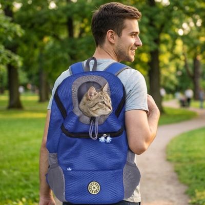 Sac à dos transport chat-bleu-homme-marchant-dans-un-parc.
