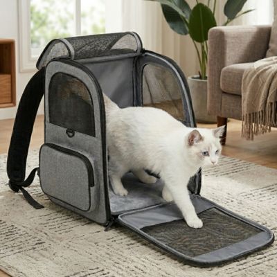 Sac à dos transport chat ergonomique intérieur lavable chaton bleu et gris.



