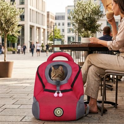 Sac à dos transport chat rouge avec une femme au terrasse.
