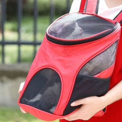 Sac à dos transport chat rouge tenu par une personne avec chat. 
