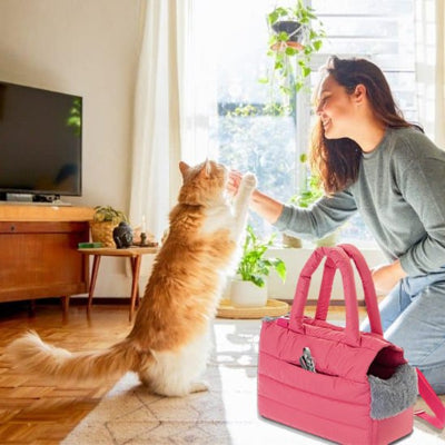 Sac à main transport chat Femme jouant avec chat salon lumineux

