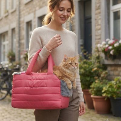 Sac à main transport chat Femme marchant dans rue calme