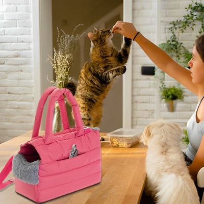 Sac à main transport chat Femme offrant friandise sur table

