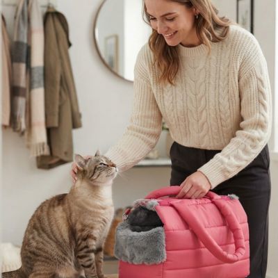 Sac à main transport chat Femme préparant sortie entrée lumineuse

