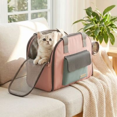 Sac de transport pour chat en mesh aéré sur canapé.