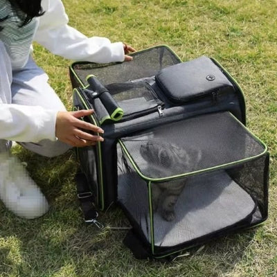 Sac de transport pour chat noir à bulle avec un chaton gris.
