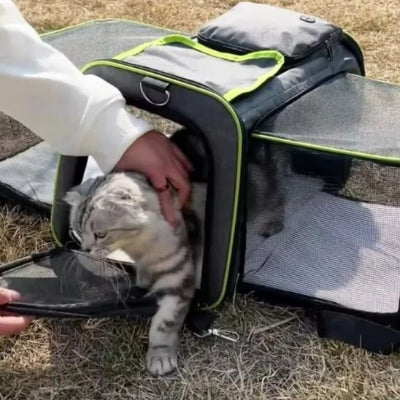 Sac de transport pour chat
 noir a bulle avec un chaton.
