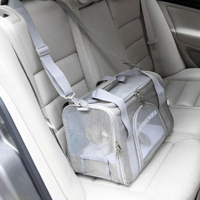 Sac transport chat gris fixé sur le siège d'une voiture.
