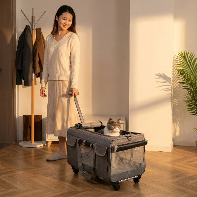 Sac transport chat trolley gris à roulettes tenu par une femme.




