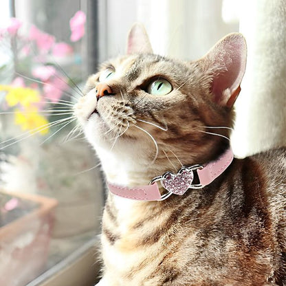 Un chat tigré aux yeux verts avec un collier chat rose près de la fenêtre 