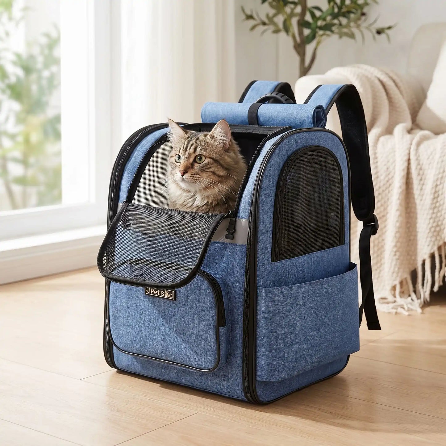 Un sac à dos chat bleu avec un chat tigré