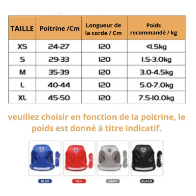 CHATTYCAT™ | HARNAIS POUR CHAT - Joyeux Felin