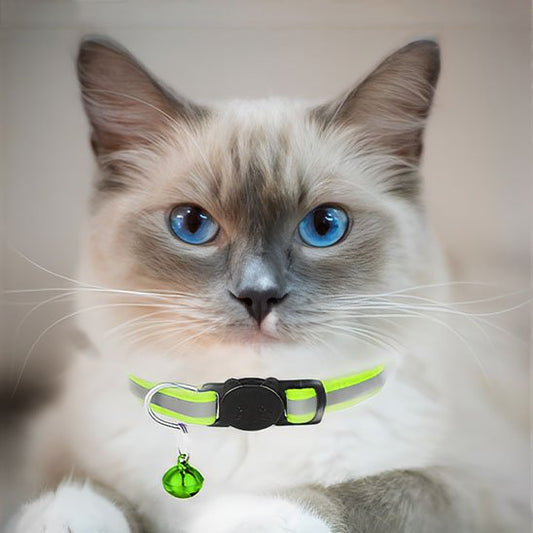 Collier chat 