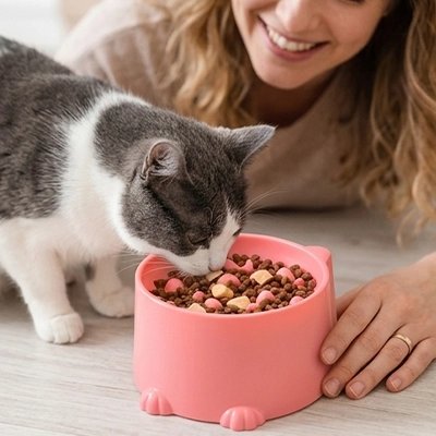gamelle anti glouton chat rose croquettes maintien.
