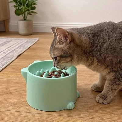 gamelle anti glouton chat vert menthe croquettes.