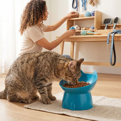gamelle chat bleue surélevée bambou