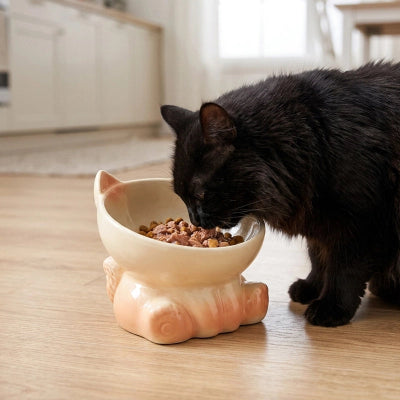 Gamelle Chat céramique inclinée dégradée