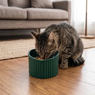 Gamelle Chat céramique inclinée surélevée verte