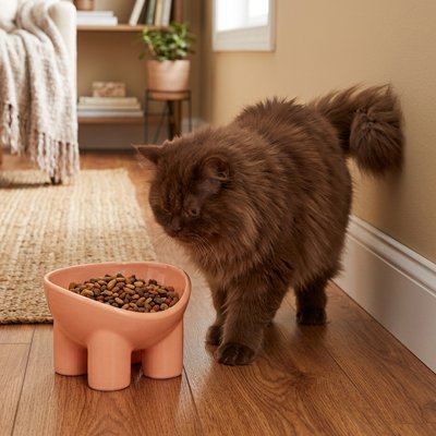 Gamelle Chat design terracotta pour intérieur
