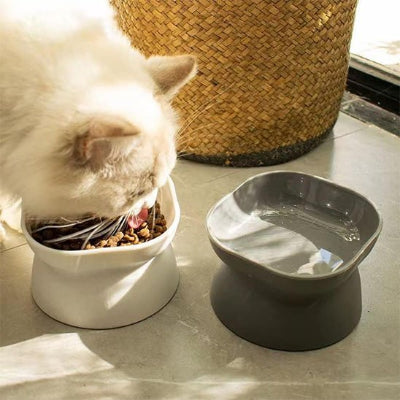 Gamelle chat en plastique dans un coin repas avec un chat
