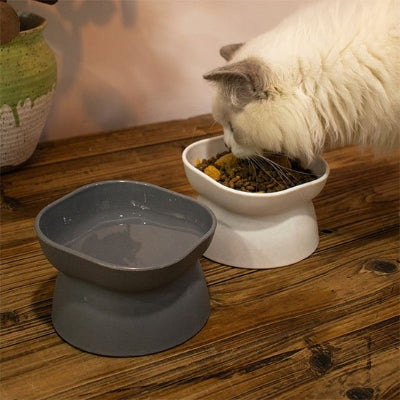 Gamelle chat en plastique utilisée par un chat pendant son repas
