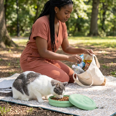 gamelle chat pliable pour le camping