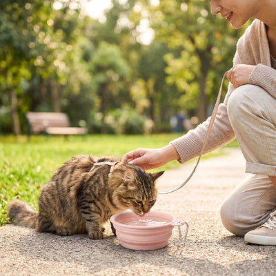 Gamelle pour chat portable remplie d'eau pour pause en extérieur