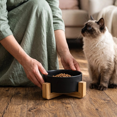 Gamelle Chat surélevée bois design moderne