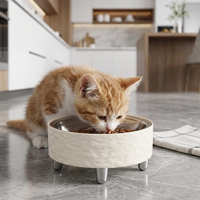gamelle chat surélevée pour chat roux