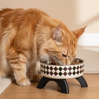 gamelle chat surélevée losanges roux