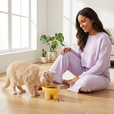 gamelle chat surélevée et son propriétaire