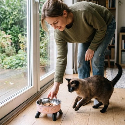 Femme installant la gamelle chat surélevée rose