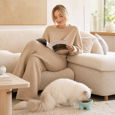 gamelle chat surélevée coin repas salon