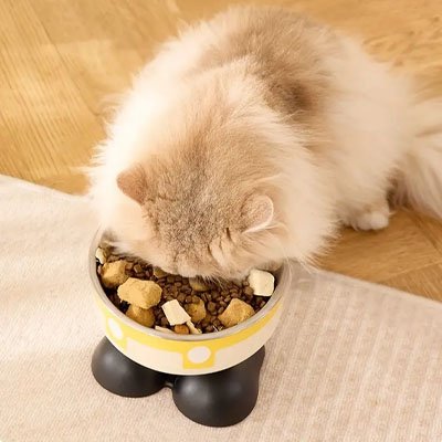 gamelle chat surélevée ergonomique repas