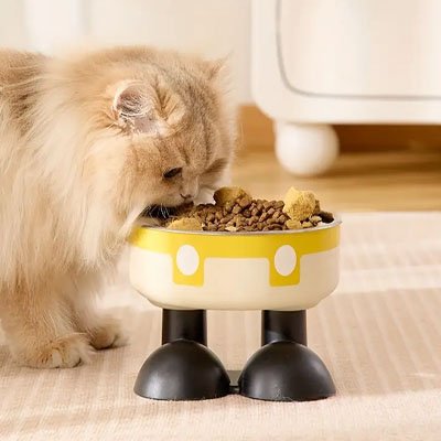 Gamelle chat surélevée ergonomique repas