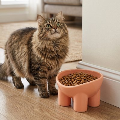 Gamelle Chat terracotta surélevée et ergonomique