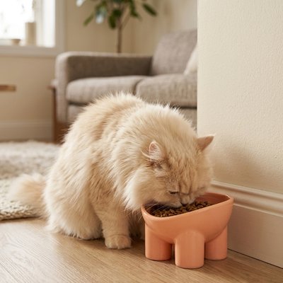 Gamelle Chat surélevée au design terracotta